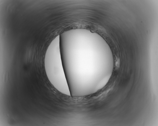 X0000088900819200706080825
