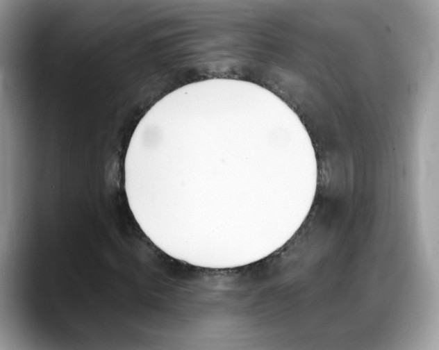 X0000088900820200706080825