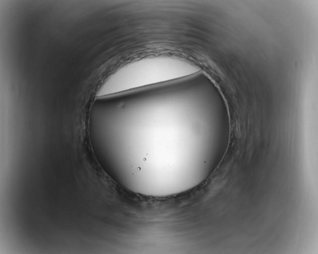 X0000088900821200706080825