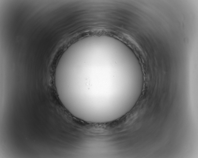 X0000088900823200706080825