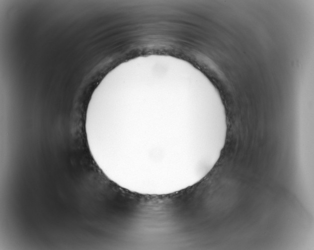 X0000088900824200706080825