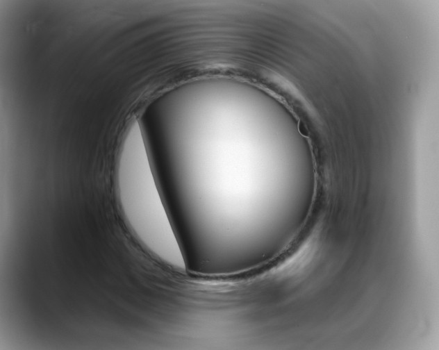X0000088900825200706080825