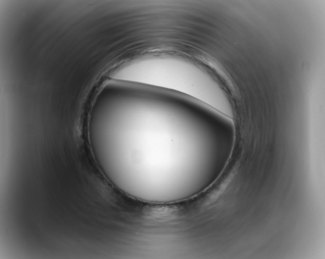 X0000088900826200706080825