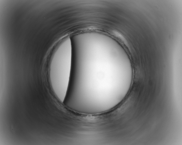 X0000088900827200706080825
