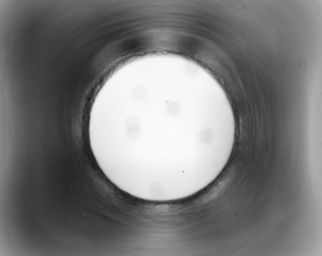 X0000088900828200706080825