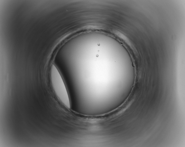 X0000088900829200706080825