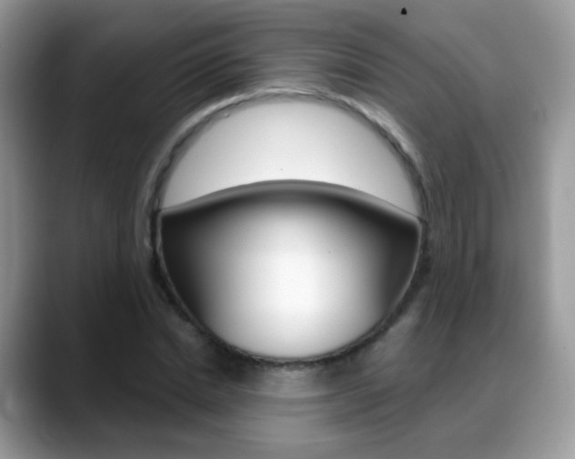 X0000088900830200706080825