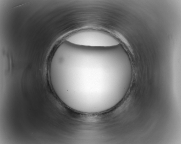 X0000088900831200706080825