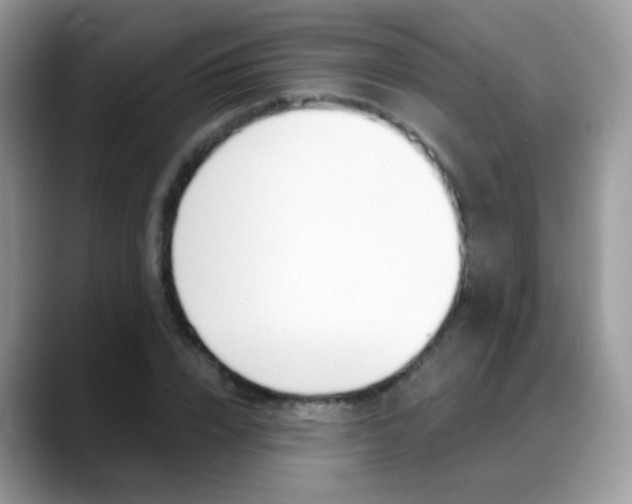 X0000088900832200706080825
