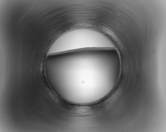 X0000088900833200706080825