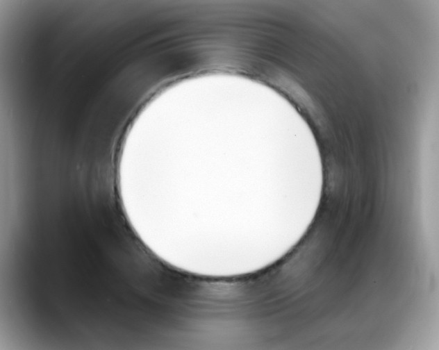 X0000088900836200706080825