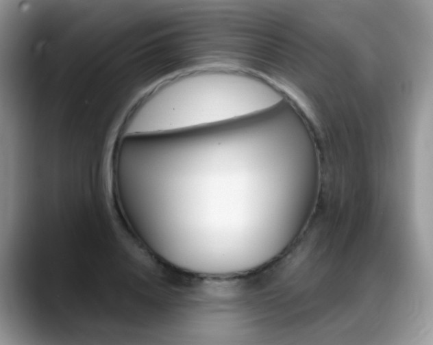 X0000088900840200706080825