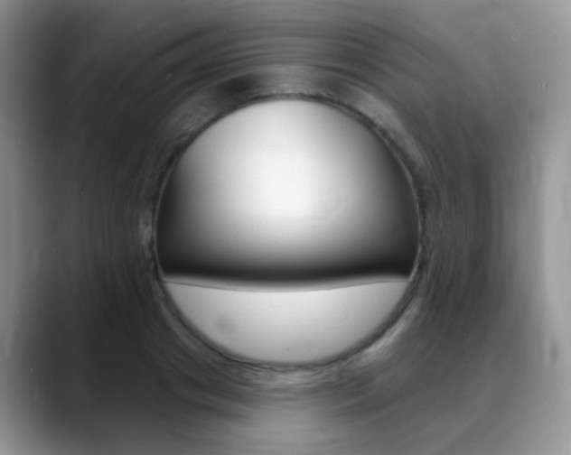 X0000088900841200706080825