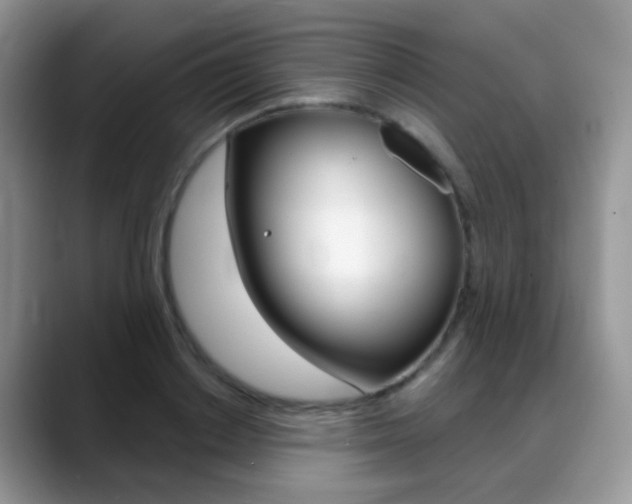 X0000088900842200706080825