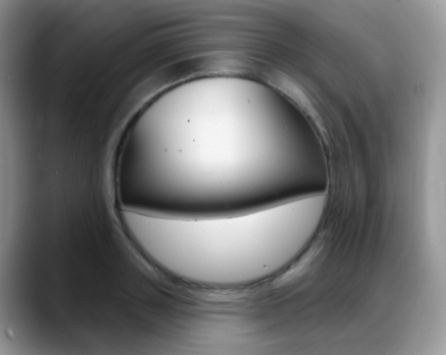 X0000088900843200706080825