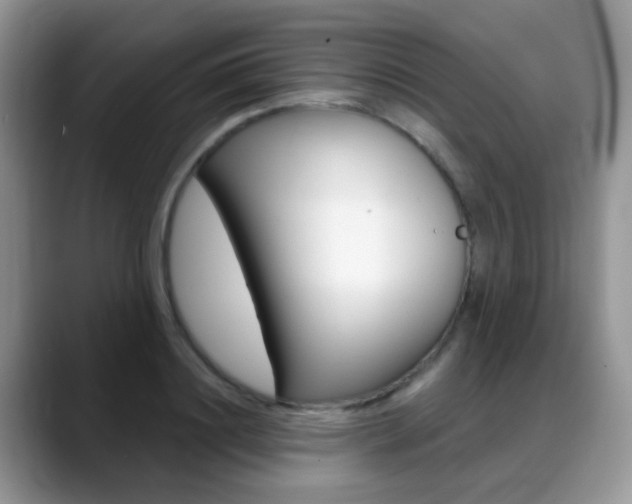 X0000088900844200706080825