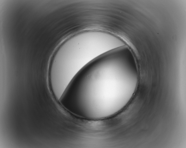 X0000088900845200706080825
