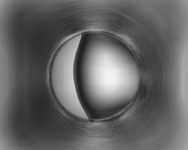 X0000088900846200706080825