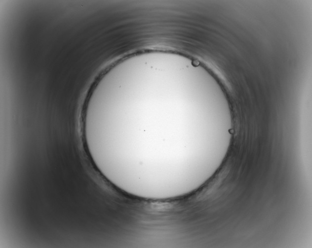 X0000088900848200706080825