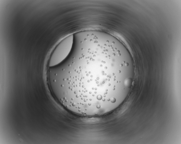X0000088900851200706080825