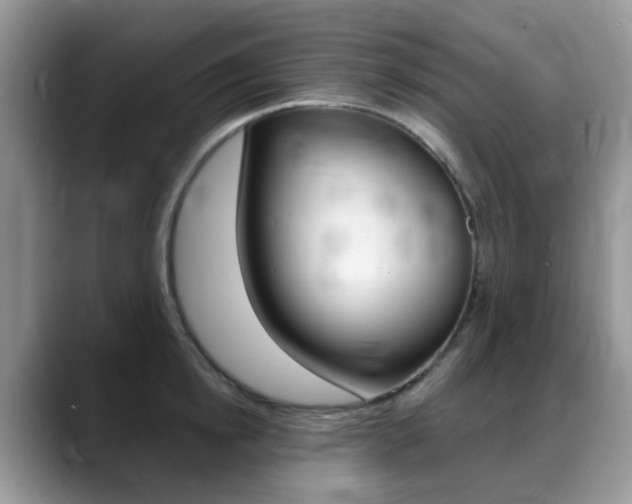 X0000088900854200706080825
