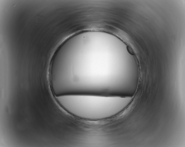 X0000088900855200706080825