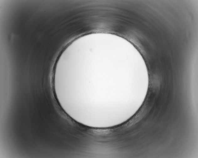 X0000088900856200706080825