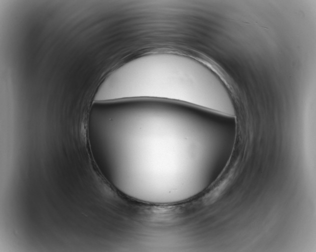 X0000088900857200706080825