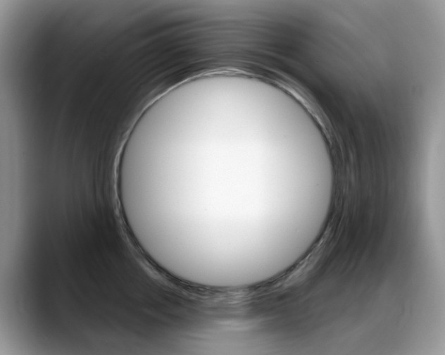 X0000088900858200706080825