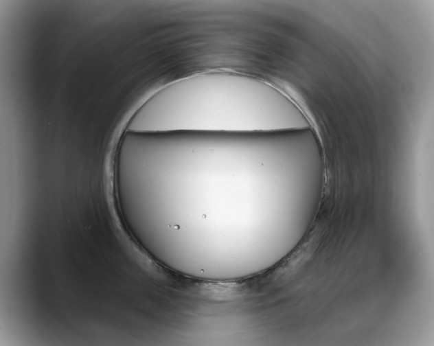 X0000088900859200706080825
