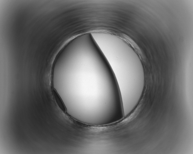 X0000088900860200706080825