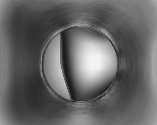 X0000088900861200706080825