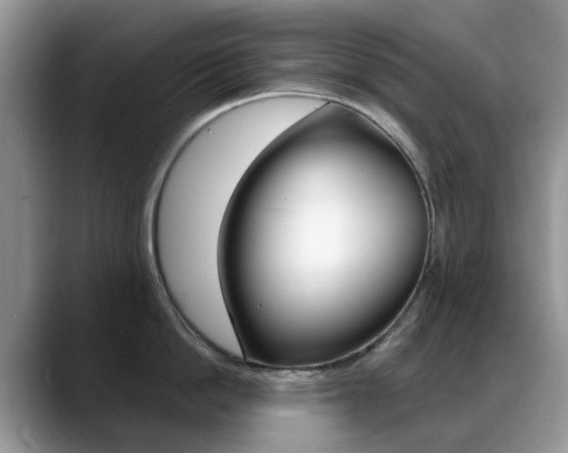 X0000088900862200706080825