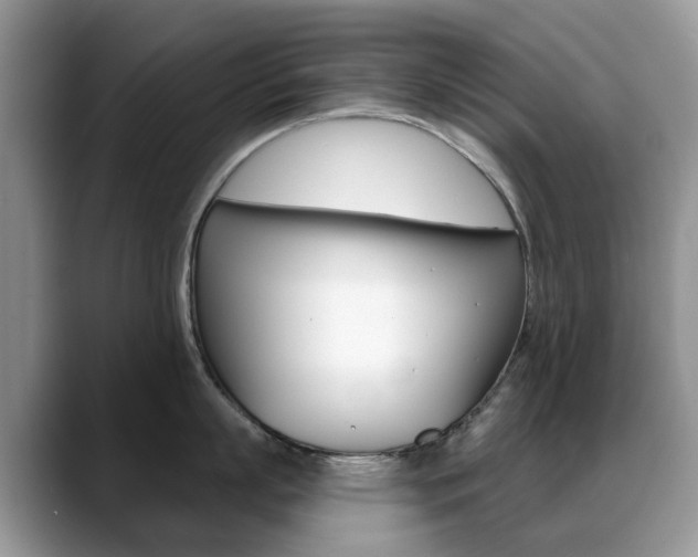 X0000088900863200706080825