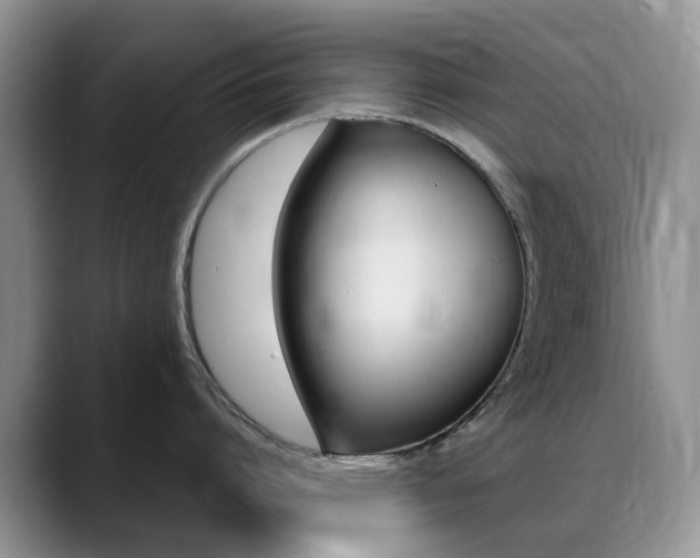 X0000088900864200706080825