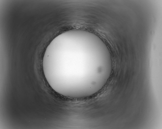 X0000088900865200706080824