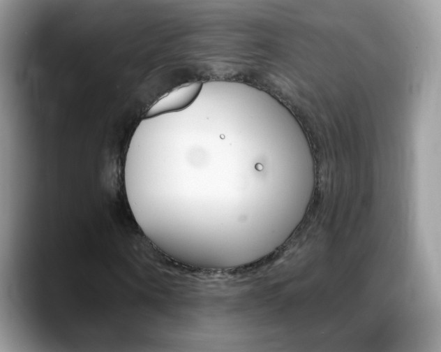 X0000088900866200706080824