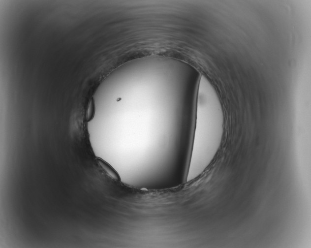X0000088900867200706080824