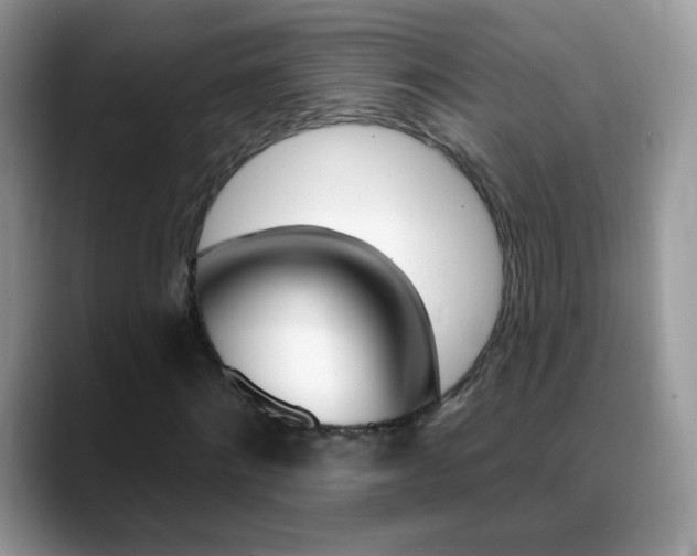X0000088900868200706080824