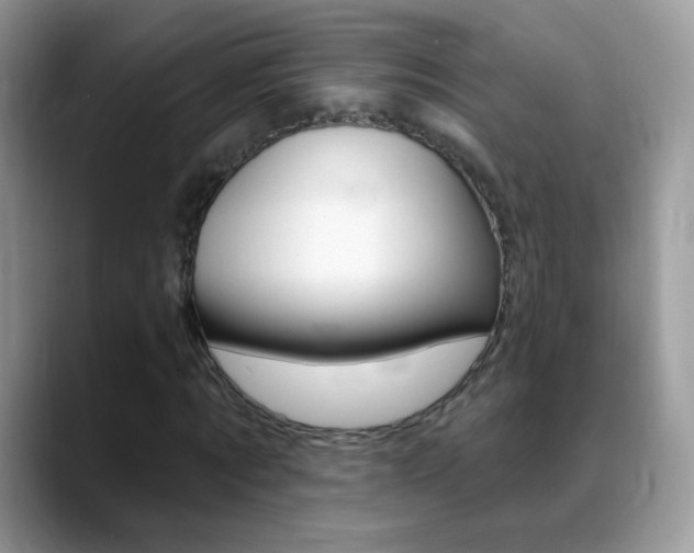 X0000088900869200706080824