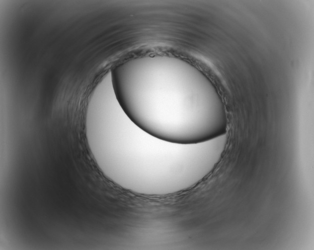 X0000088900871200706080824