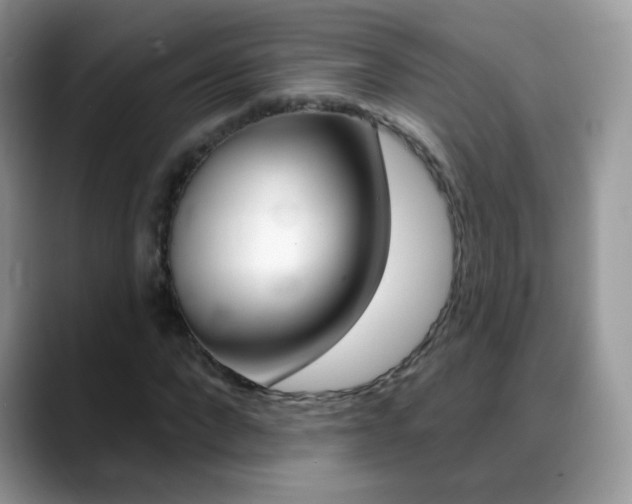 X0000088900872200706080824