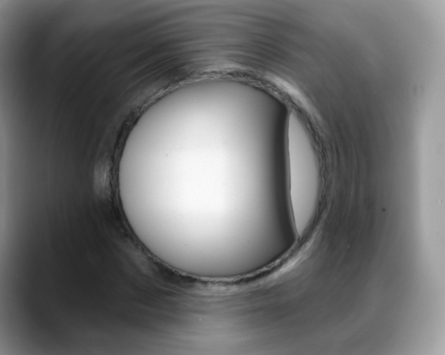 X0000088900873200706080824