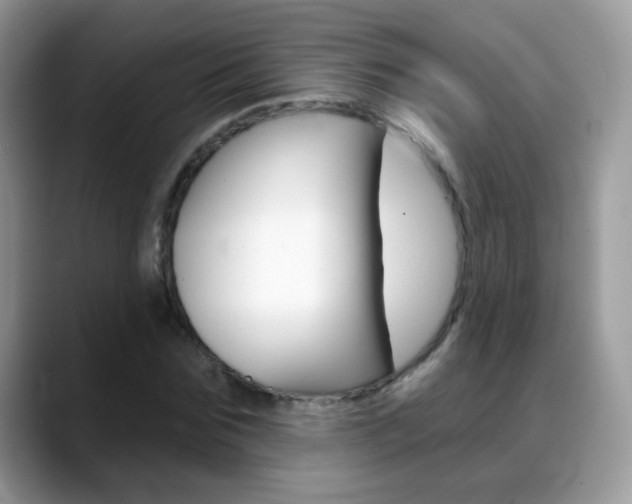 X0000088900875200706080824
