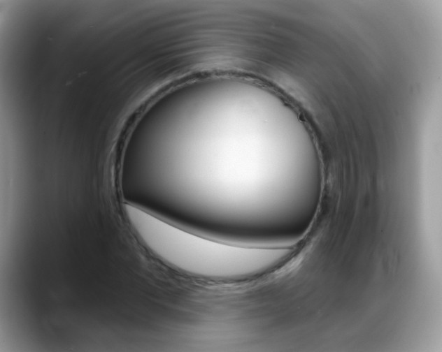 X0000088900877200706080824