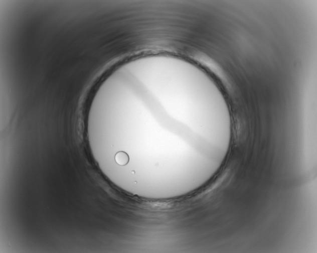 X0000088900878200706080824
