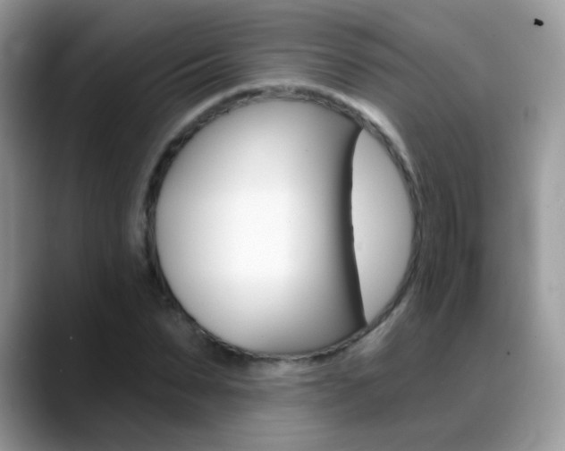 X0000088900879200706080824