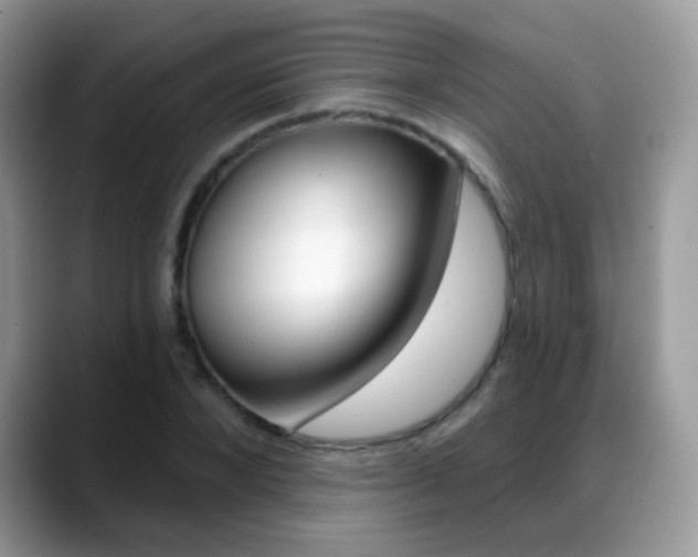 X0000088900880200706080824