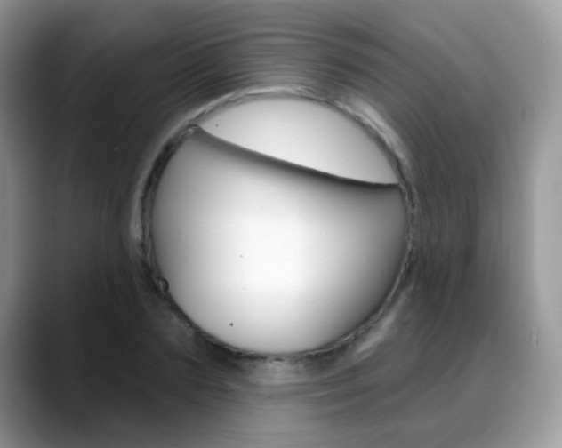 X0000088900883200706080824