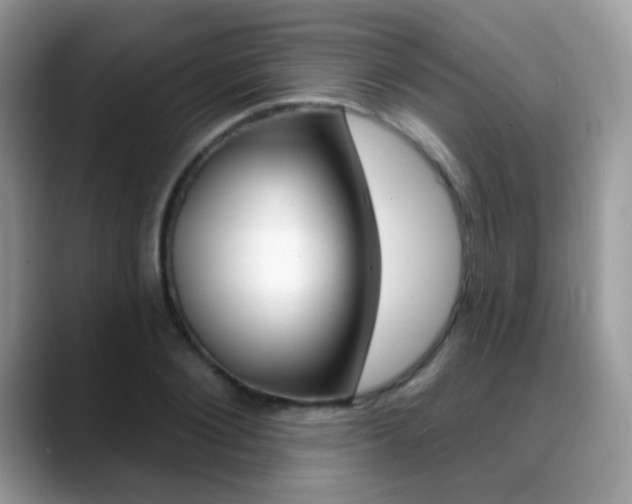 X0000088900884200706080824